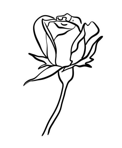 Rose Dessin Ligne Noir — Image vectorielle