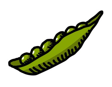 Taze fasulye vektör illüstrasyonu