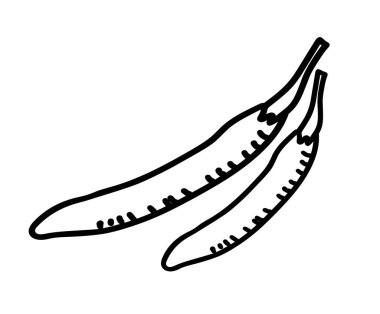 Biberler el çizimi illüstrasyon