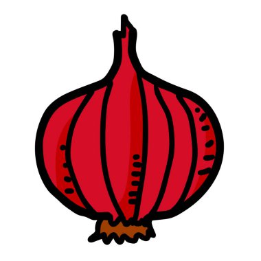 Havuç vektör çizimi izole edildi