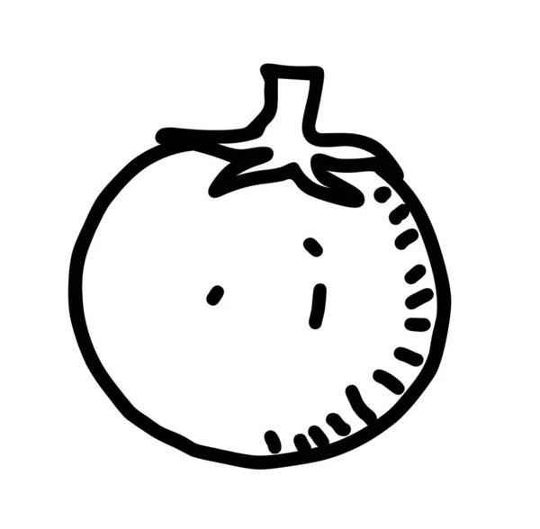 Tomate Illustration Dessinée Main — Image vectorielle