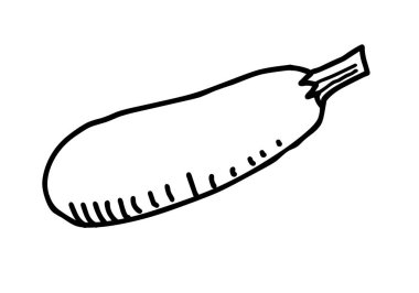 Şişe kabağı elle çizilmiş çizim