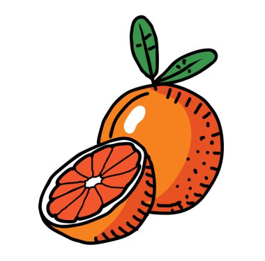 Üzüm meyvesi vektörü izole edildi