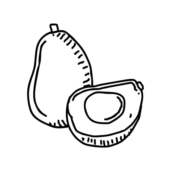 Illustrazione Disegnata Mano Avocado — Vettoriale Stock