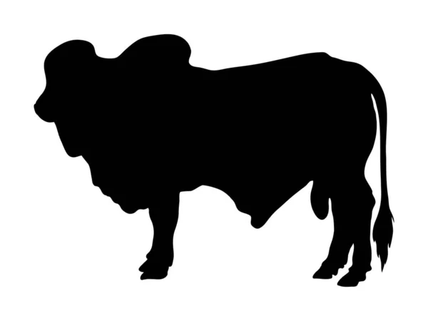 Bull Silhouette White Background — Stock Vector