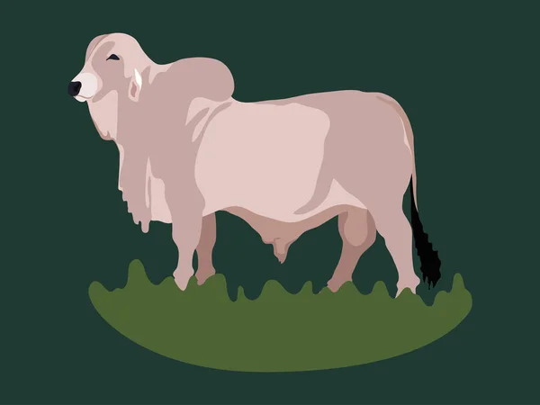 Bull Silhouette Illustration Vector — Stock Vector