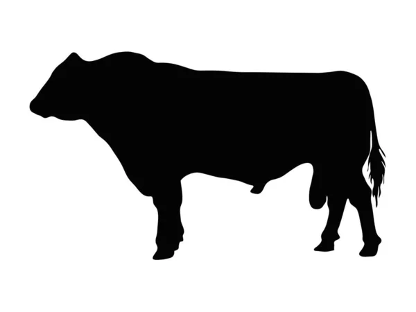 Bull Silhouette Illustration Vector — Stock Vector