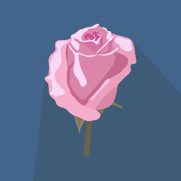 Pembe Gül vektörü izole edildi