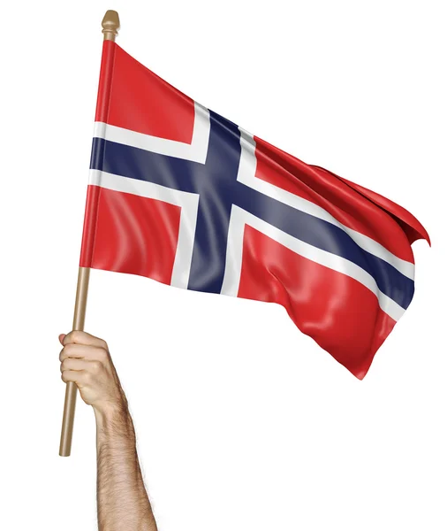 Hand proudly waving the national flag of Norway — Stock Photo, Image