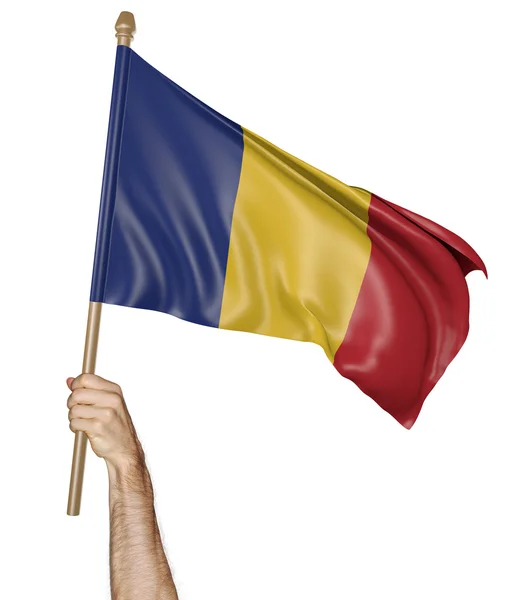 Hand proudly waving the national flag of Romania — Stock Photo, Image