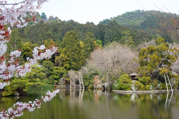 Bujny staw i krajobraz ogród Zen na Ryoan-ji w Kyoto, Japonia — Zdjęcie stockowe