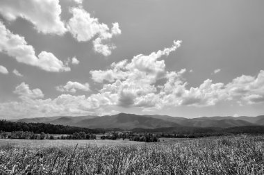 Siyah ve beyaz otlak peyzaj Cades Cove Valley Tennessee