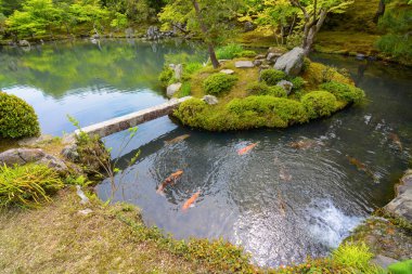 Geleneksel Japon Gölet bahçe ile renkli portakal sazan balık