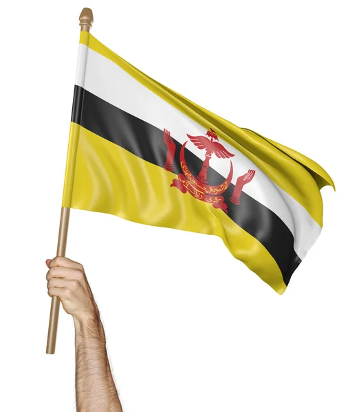 Рука с гордостью машет национальным флагом Брунея, 3D рендеринг — стоковое фото