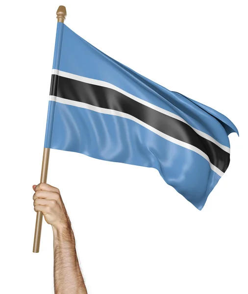 손 자랑 스럽게 3d 렌더링, 보츠와나의 국가 깃발을 흔들며 — 스톡 사진