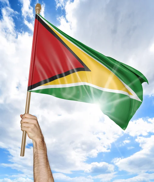 Iemands hand houden van de Guyanese nationale vlag en het zwaaien in de lucht, 3D-rendering — Stockfoto