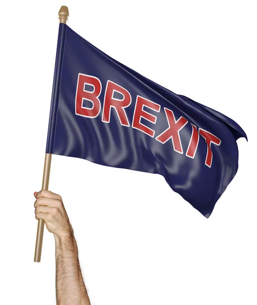 사람의 손을 잡고 단어 Brexit, 3d 렌더링으로 흔들며 깃발 — 스톡 사진