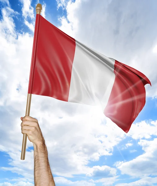 Person's hand holding the Peruvian national flag and waving it in the sky, 3D rendering — Stock Photo, Image