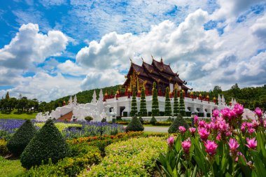 Chiang Mai, Tayland Royal Park Rajapruek köşk tarafından Pembe çiçek bahçeleri