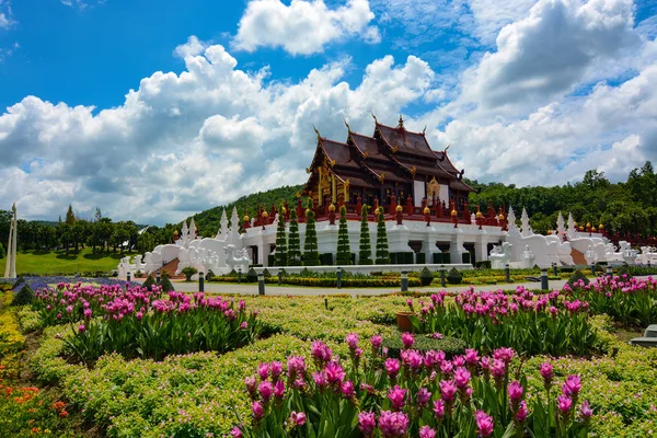 Güzel çiçek bahçeleri, Royal Park Rajapruek Chiang Mai, Tayland — Stok fotoğraf