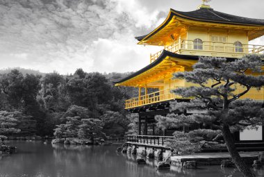 Seçmeli renk ile siyah beyaz Kyoto, Japonya'nın ünlü altın Kinkaku-ji Pavilion Tapınağı