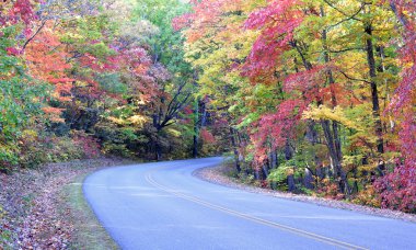 Asheville, North Carolina yakınındaki Blue Ridge Parkway üzerinde sonbahar renkleri