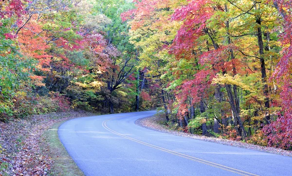 Φθινόπωρο χρώματα σε το Parkway Blue Ridge κοντά στο Άσβιλλ, Βόρεια Καρολίνα — Φωτογραφία Αρχείου