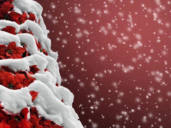 Αλεξανδρινό το χριστουγεννιάτικο δέντρο στο χιόνι για μια σκηνή όμορφο φόντο — Φωτογραφία Αρχείου