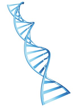 insan DNA'sı dize 3D çift sarmal spiral yapısı