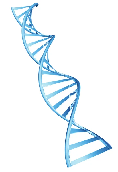 3D double helix spiral structure of a human DNA string — Stock Photo, Image