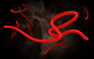 Ebola virüs hastalık virions 3d render mikroskop tarafından büyütülmüş