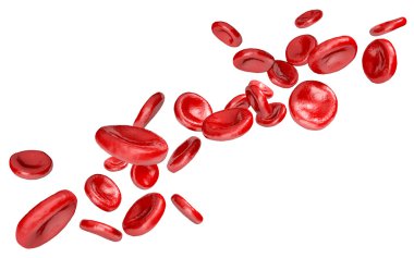 Healthy human red blood cells flowing in a stream clipart