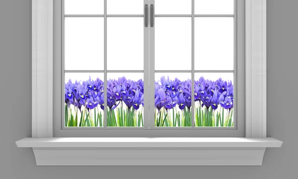 Beautiful spring irises flowering outside a house window — Stock Photo, Image