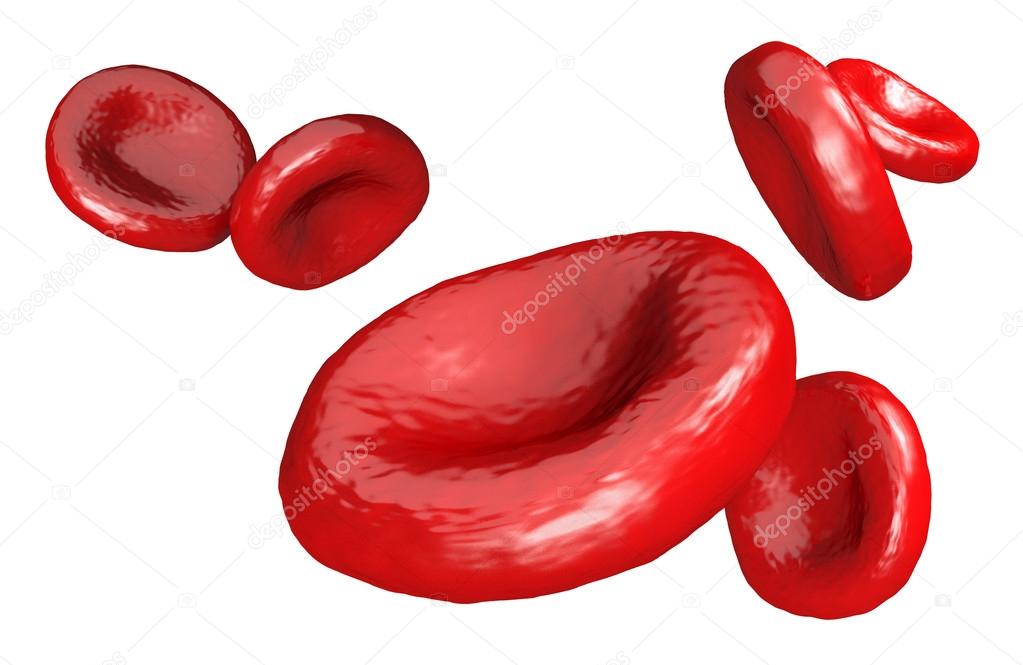 Close-up of healthy human red blood cells isolated on white