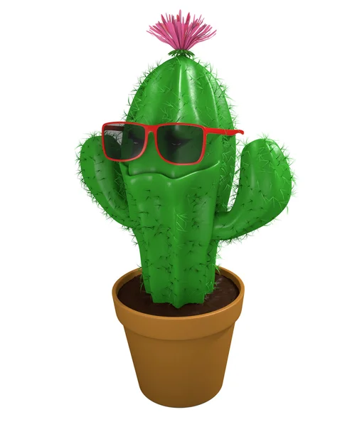 Cool cactus hombre planta de interior con gafas de sol de moda y una gran sonrisa — Foto de Stock