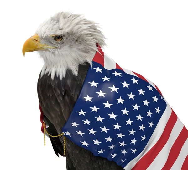 Αμερικανική φαλακρός αετός, φορώντας χώρα σημαίας των Ηνωμένων Πολιτειών — Φωτογραφία Αρχείου