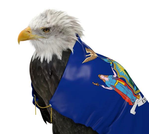 American bald eagle wearing the New York state flag — Stock Photo, Image