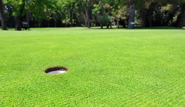 Golfbaan gat op de putting green — Stockfoto