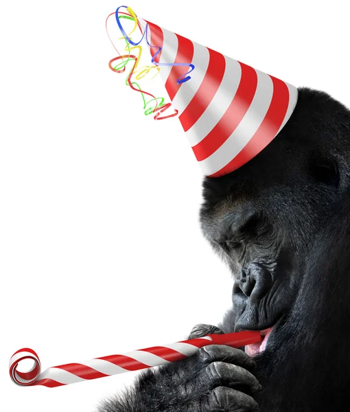 Gorilla animale partito con un cappello di compleanno a righe e tromba rumorista — Foto Stock