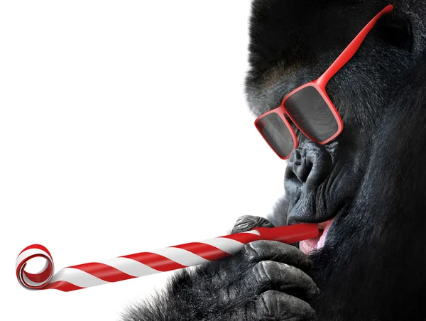 Lustiger Gorilla mit roter Sonnenbrille, der eine Party feiert, indem er in ein gestreiftes Horn bläst — Stockfoto