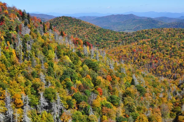 Couleurs automnales dans les Appalaches pendant l'automne à la Blue Ridge Parkway East Fork Overlook — Photo