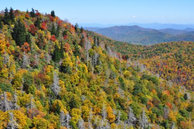 Appalachian aralığının Blue Ridge Mountains bölümünde sonbahar manzara
