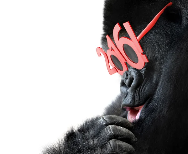 Gorilla met grote rode 2016 New Years bril vieren jaar van de aap — Stockfoto