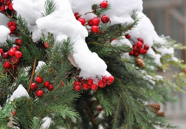 Christmas holiday evergreen wreath covered with real snow