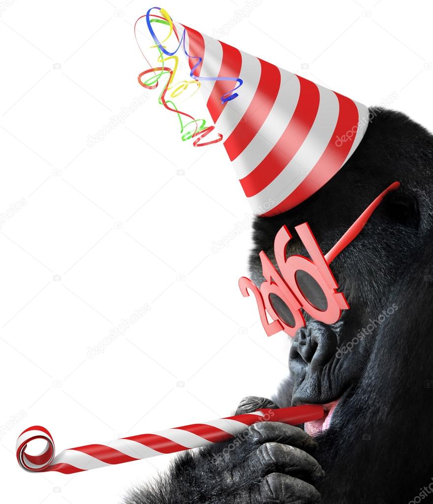 Silly gorilla with cone hat and New Year 2016 glasses blowing a party horn for Chinese Year of the Monkey