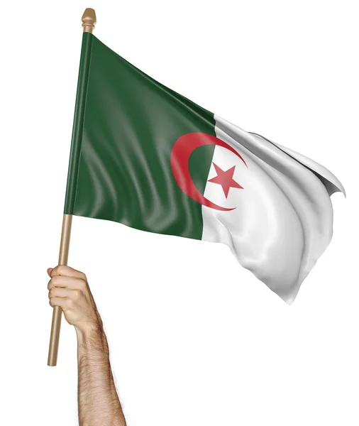 Mão orgulhosamente acenando a bandeira nacional da Argélia — Fotografia de Stock