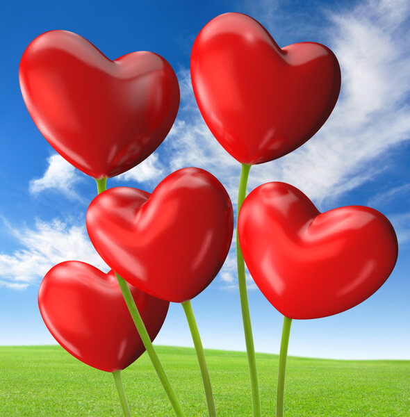 Fleurs coeur Valentin rouge — Photo