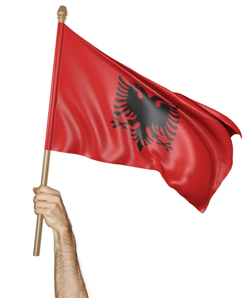 Main agitant fièrement le drapeau national de l'Albanie — Photo
