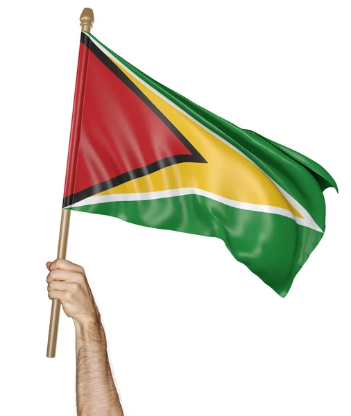Χέρι που περήφανα κυματίζει η σημαία της Γουιάνας — Φωτογραφία Αρχείου