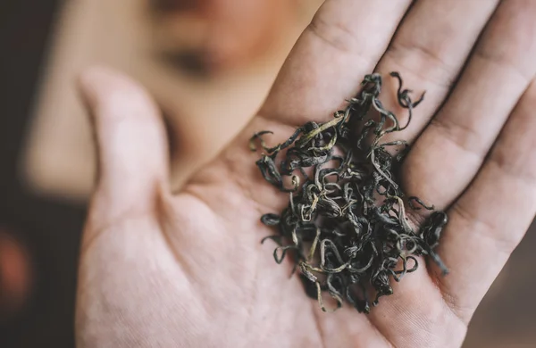 Concepto de ceremonia del té chino —  Fotos de Stock